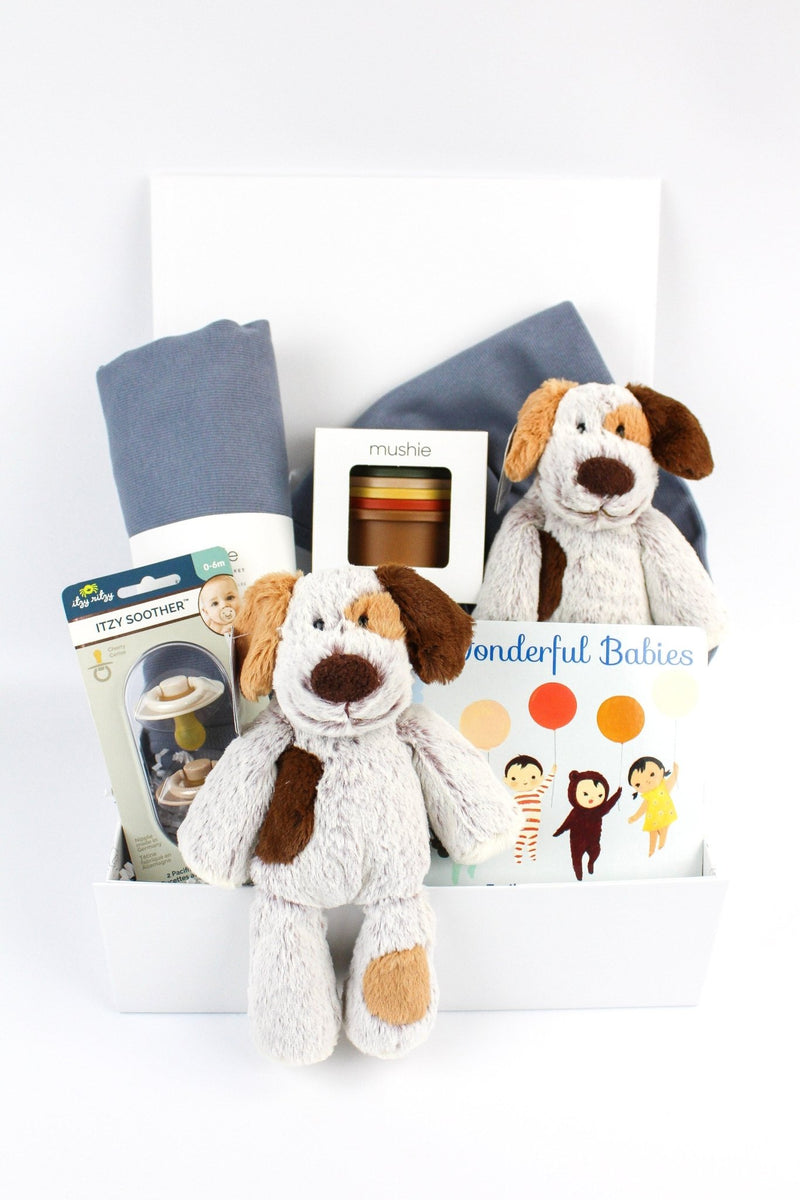 Wonderful Twin Babies Gift Box The Baby Gift People