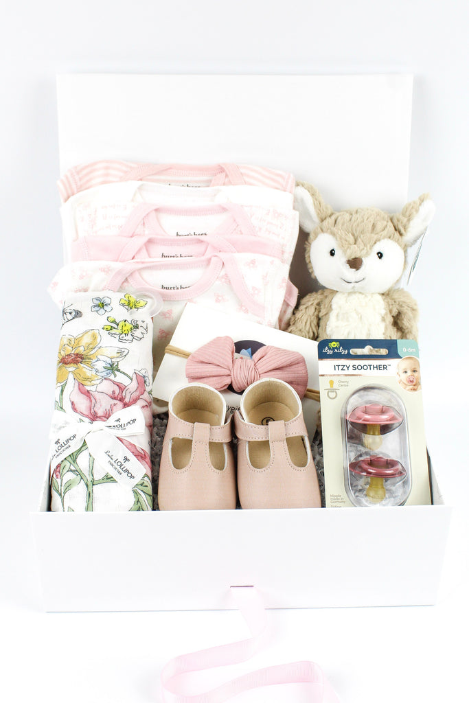 Baby Gift Boxes, New Parents Gifts, Big Sibling and Corporate Gifts. – The Baby  Gift People