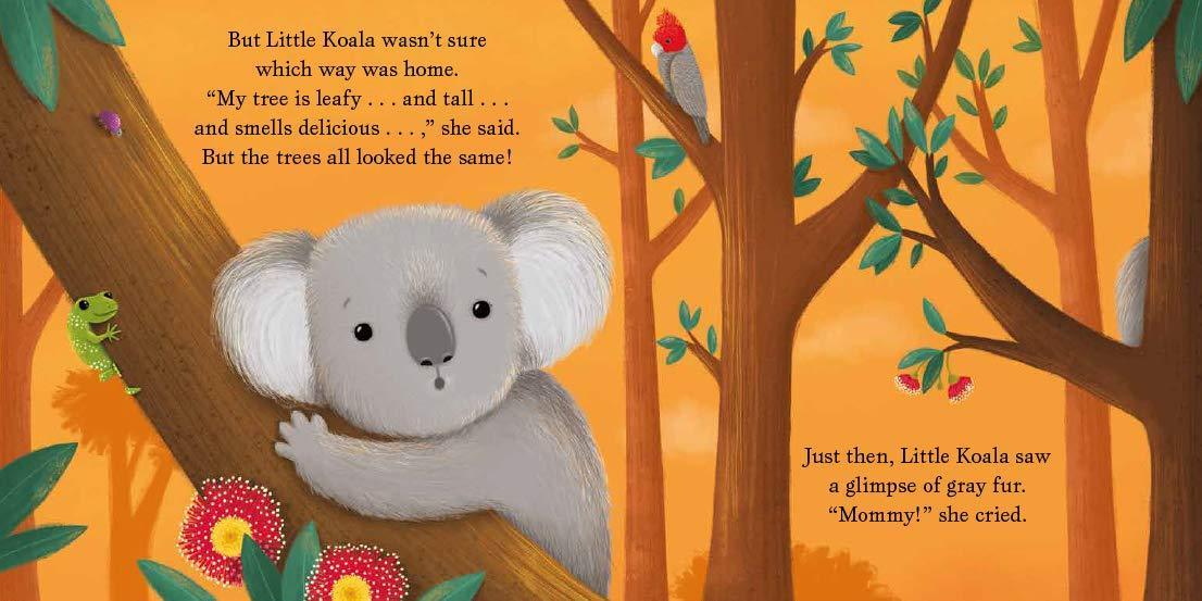 Cuddle Close, Little Koala – The Baby Gift People