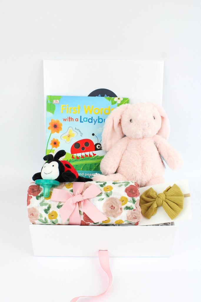 Ladybug and Butterfly Baby Gift Box-Baby Gift Sets-The Baby Gift People