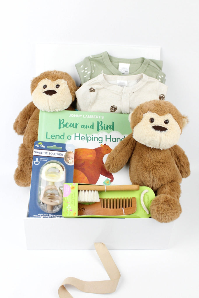 Sage and Mocha Twin Babies Gift Box-Baby Gift Sets-The Baby Gift People